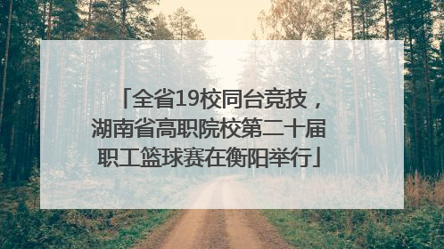 全省19校同台竞技，湖南省高职院校第二十届职工篮球赛在衡阳举行