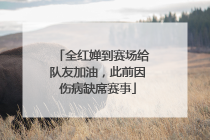 全红婵到赛场给队友加油，此前因伤病缺席赛事