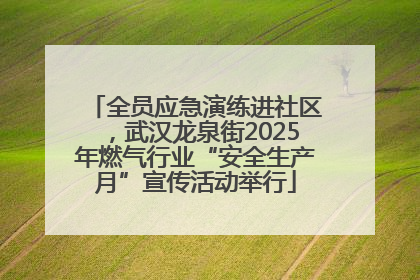 全员应急演练进社区，武汉龙泉街2025年燃气行业“安全生产月”宣传活动举行