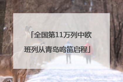 全国第11万列中欧班列从青岛鸣笛启程