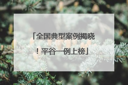 全国典型案例揭晓！平谷一例上榜