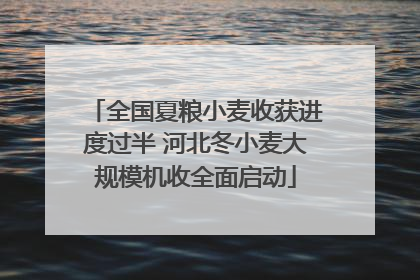 全国夏粮小麦收获进度过半 河北冬小麦大规模机收全面启动