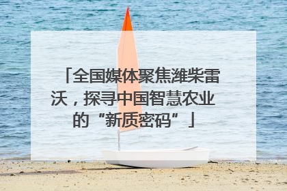 全国媒体聚焦潍柴雷沃，探寻中国智慧农业的“新质密码”