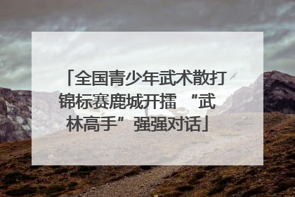 全国青少年武术散打锦标赛鹿城开擂 “武林高手”强强对话