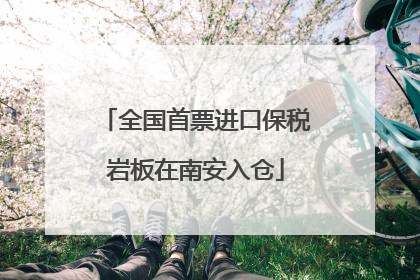 全国首票进口保税岩板在南安入仓