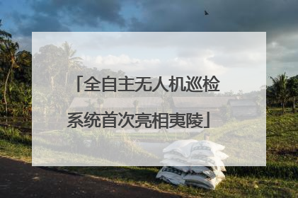 全自主无人机巡检系统首次亮相夷陵