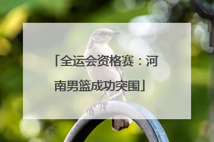 全运会资格赛：河南男篮成功突围