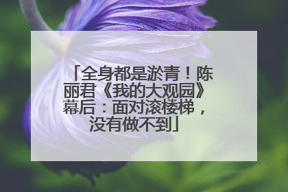 全身都是淤青！陈丽君《我的大观园》幕后：面对滚楼梯，没有做不到