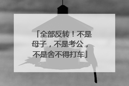 全部反转！不是母子，不是考公，不是舍不得打车