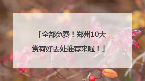 全部免费！郑州10大赏荷好去处推荐来啦！