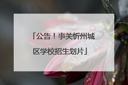 公告！事关忻州城区学校招生划片