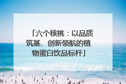 六个核桃：以品质筑基、创新领航的植物蛋白饮品标杆