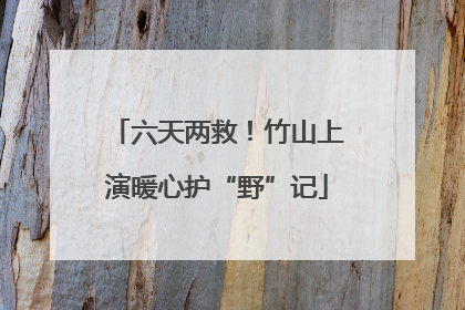 六天两救！竹山上演暖心护“野”记