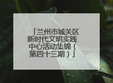 兰州市城关区新时代文明实践中心活动集锦（第四十三期）