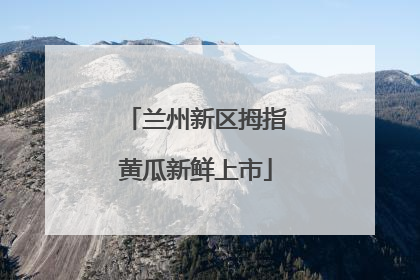 兰州新区拇指黄瓜新鲜上市