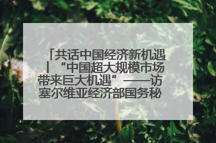 共话中国经济新机遇丨“中国超大规模市场带来巨大机遇”——访塞尔维亚经济部国务秘书尼科利奇