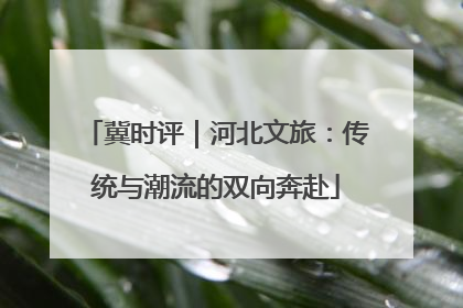 冀时评｜河北文旅：传统与潮流的双向奔赴