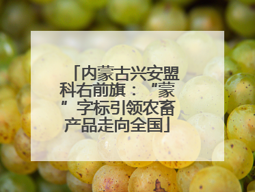 内蒙古兴安盟科右前旗：“蒙”字标引领农畜产品走向全国