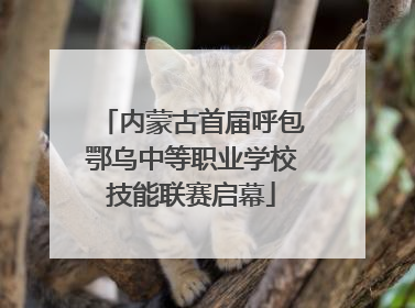 内蒙古首届呼包鄂乌中等职业学校技能联赛启幕