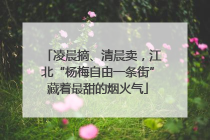 凌晨摘、清晨卖，江北“杨梅自由一条街”藏着最甜的烟火气