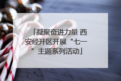 凝聚奋进力量 西安经开区开展“七一”主题系列活动