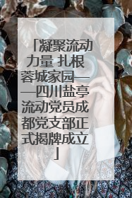 凝聚流动力量 扎根蓉城家园——四川盐亭流动党员成都党支部正式揭牌成立