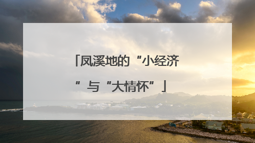 凤溪地的“小经济”与“大情怀”