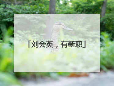 刘会英，有新职