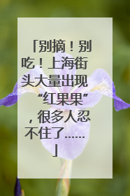别摘！别吃！上海街头大量出现“红果果”，很多人忍不住了……