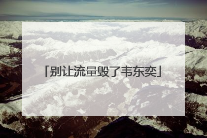 别让流量毁了韦东奕