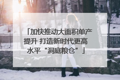 加快推动大面积单产提升 打造新时代更高水平“洞庭粮仓”