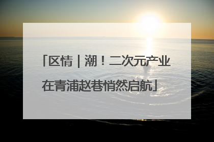 区情｜潮！二次元产业在青浦赵巷悄然启航