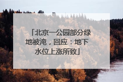 北京一公园部分绿地被淹，回应：地下水位上涨所致