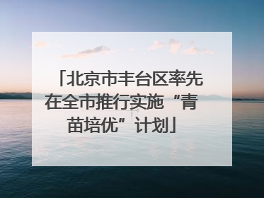 北京市丰台区率先在全市推行实施“青苗培优”计划