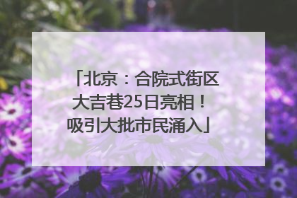 北京：合院式街区大吉巷25日亮相！吸引大批市民涌入