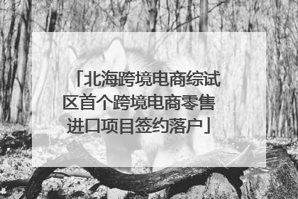 北海跨境电商综试区首个跨境电商零售进口项目签约落户