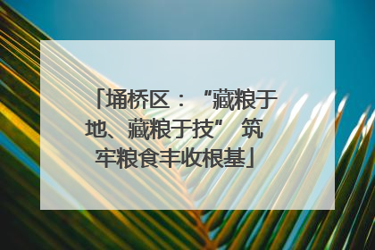 埇桥区：“藏粮于地、藏粮于技” 筑牢粮食丰收根基