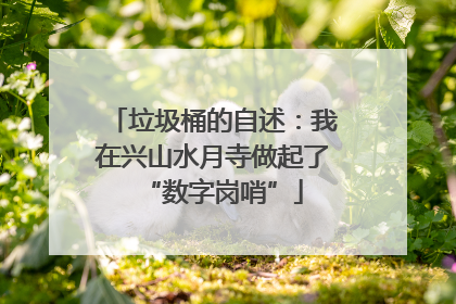 垃圾桶的自述：我在兴山水月寺做起了“数字岗哨”