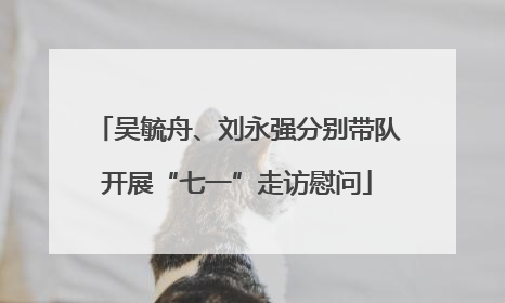 吴毓舟、刘永强分别带队开展“七一”走访慰问