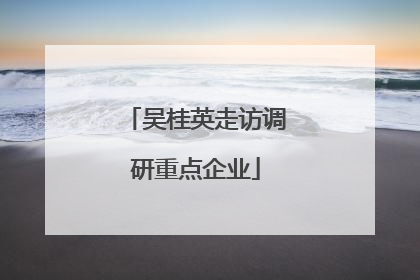 吴桂英走访调研重点企业
