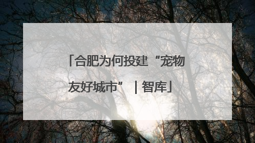 合肥为何投建“宠物友好城市”｜智库