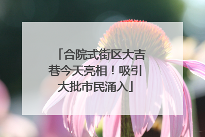 合院式街区大吉巷今天亮相！吸引大批市民涌入