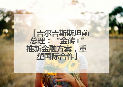 吉尔吉斯斯坦前总理：“金砖+”推新金融方案，重塑国际合作
