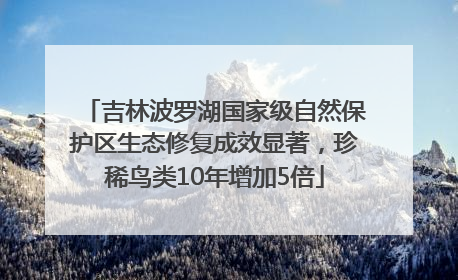 吉林波罗湖国家级自然保护区生态修复成效显著，珍稀鸟类10年增加5倍