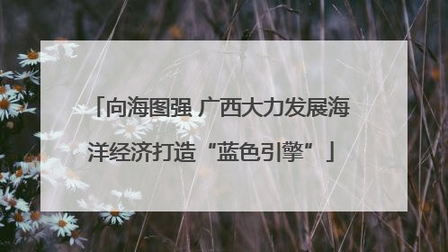 向海图强 广西大力发展海洋经济打造“蓝色引擎”