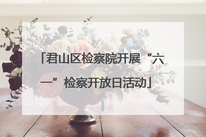君山区检察院开展“六一”检察开放日活动