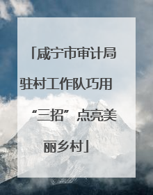 咸宁市审计局驻村工作队巧用“三招”点亮美丽乡村
