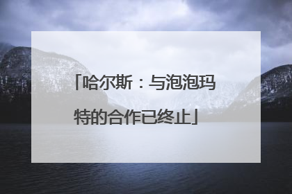 哈尔斯：与泡泡玛特的合作已终止