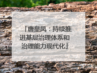 唐皇凤：持续推进基层治理体系和治理能力现代化