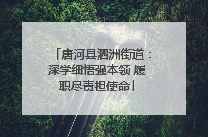 唐河县泗洲街道：深学细悟强本领 履职尽责担使命